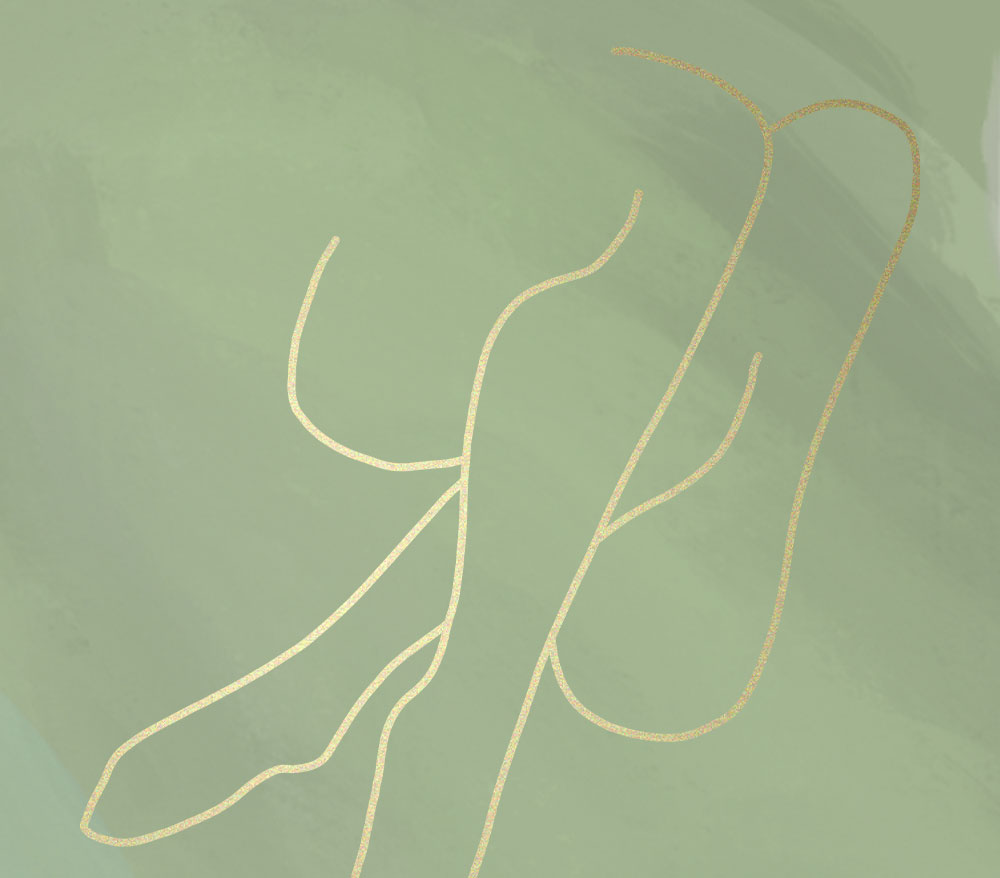 skinlasers-vessels-and-veins-laser-and-devices-services Vessels Veins